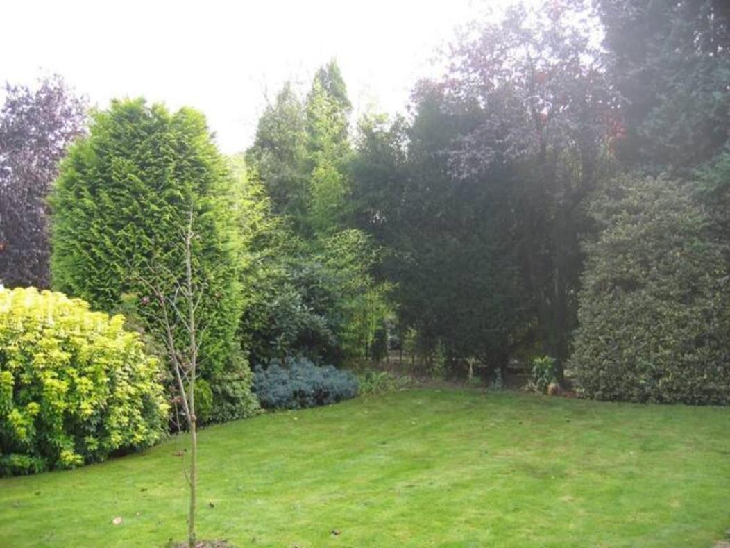 Right Garden Suite In Villa Near Centre And Tue آيندهوفن المظهر الخارجي الصورة